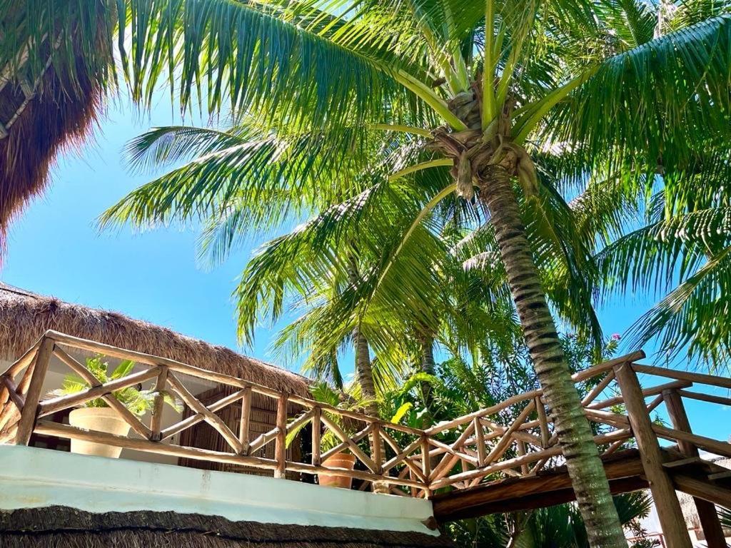 Casa Tom Tom - Adults Only Bed & Breakfast Isla Holbox ภายนอก รูปภาพ